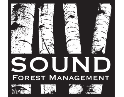 sound forest logo