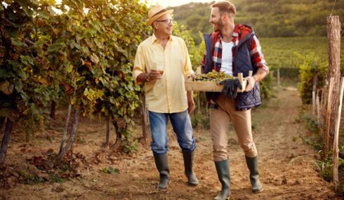 agritourism and vineyard small business owners